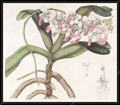 Картина Воздушный завод сэра Ричарда Брука (1815-1819)