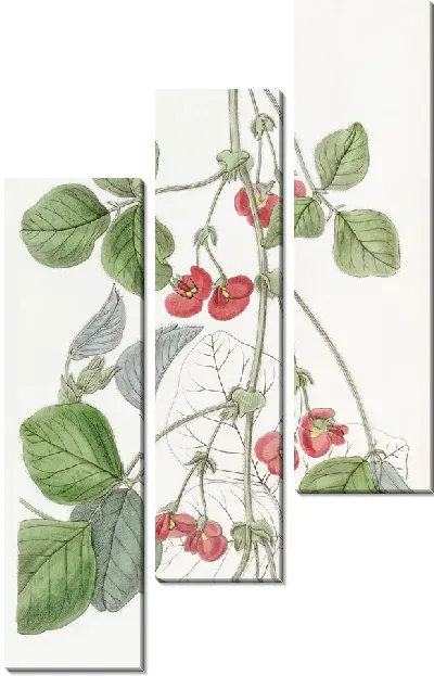 Картина Кеннедия сэра Джеймса Стирлинга (1815-1819)