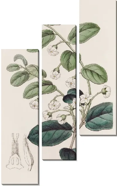 Картина Сияющая Ройена (1815-1819)