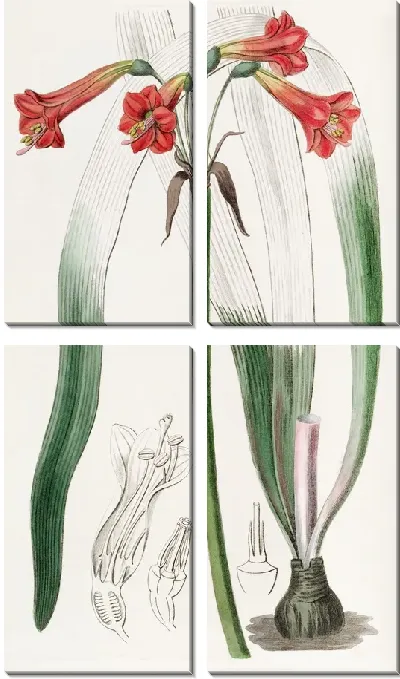Картина Фицелла с короткой трубкой (1815-1819)