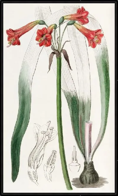 Картина Фицелла с короткой трубкой (1815-1819)