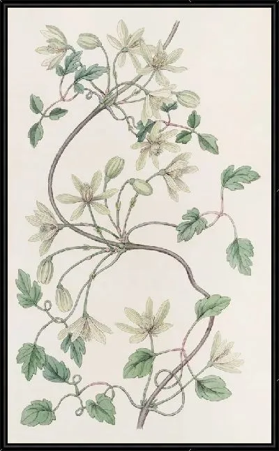 Картина Шатер Шестилепестковой Богородицы (1815-1819)