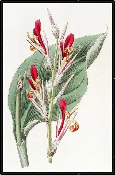 Картина Шеви Канна (1815-1819)