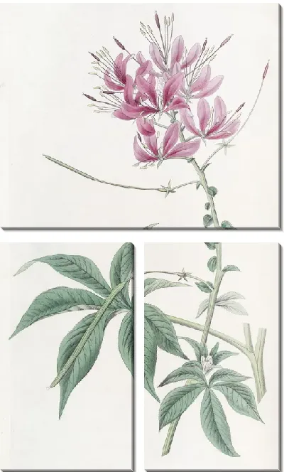 Картина Шеви Клеом (1815–1819)