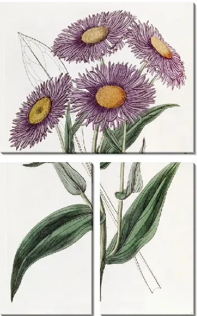 Картина Шеви Стенактис (1815-1819)