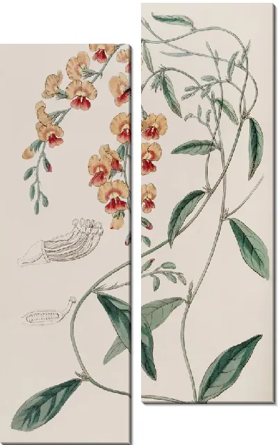 Картина Эффектная Хорозема (1815-1819)