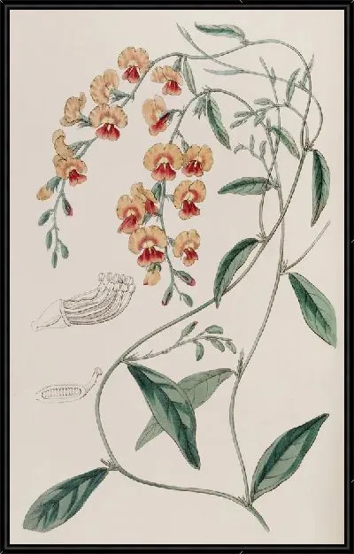Картина Эффектная Хорозема (1815-1819)
