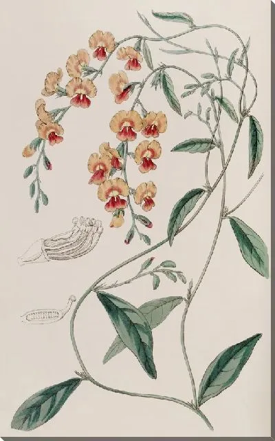 Картина Эффектная Хорозема (1815-1819)