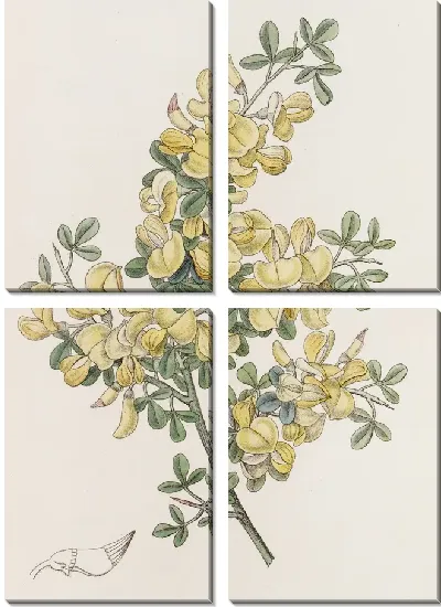 Картина Колючий Каликотом (1815-1819)