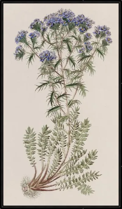 Картина Колючий триптилион (1815-1819)