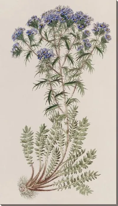 Картина Колючий триптилион (1815-1819)