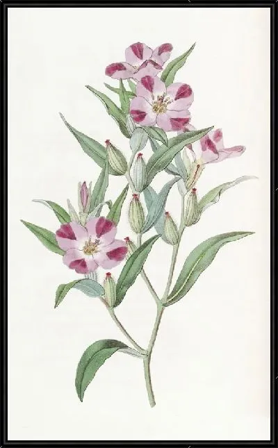 Картина Умная Годеция (1815-1819)