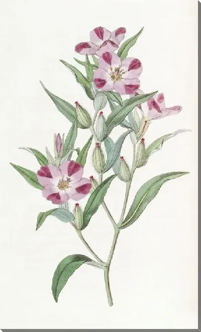 Картина Умная Годеция (1815-1819)