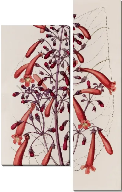 Картина Лакированная Геснера (1815-1819)