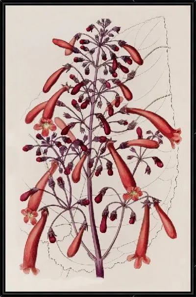Картина Лакированная Геснера (1815-1819)