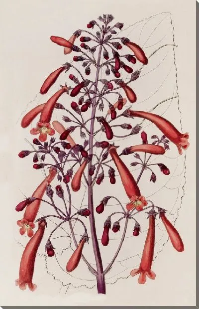 Картина Лакированная Геснера (1815-1819)