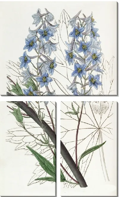 Картина Переменная Живость (1815-1819)