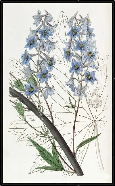 Картина Переменная Живость (1815-1819)