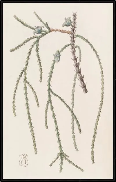 Картина Плачущая беседка Vitae (1815-1819)