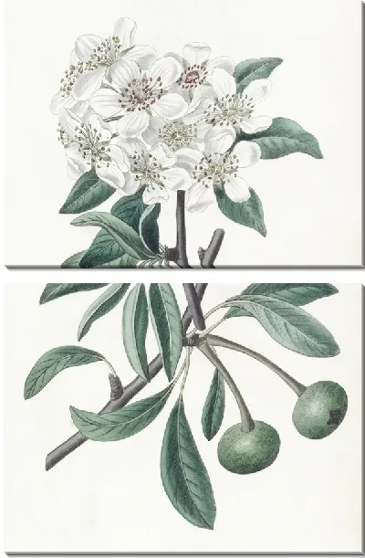 Картина Снежная груша (1815-1819)