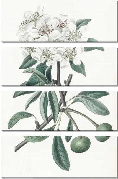 Картина Снежная груша (1815-1819)