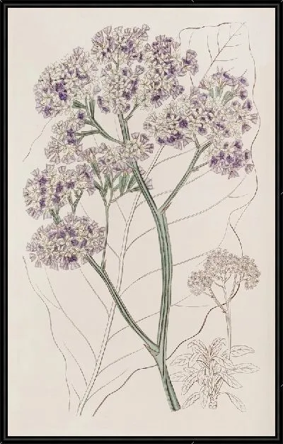 Картина Статистика дерева (1815-1819)