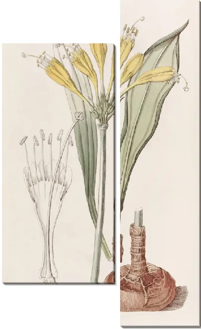 Картина Стеномессон из яичного желтка (1815-1819)