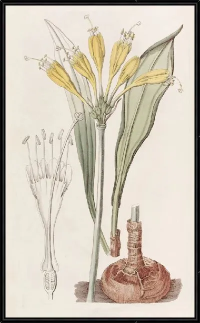 Картина Стеномессон из яичного желтка (1815-1819)