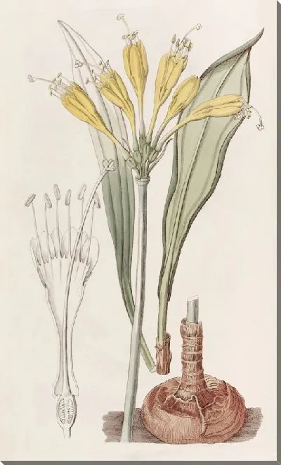 Картина Стеномессон из яичного желтка (1815-1819)