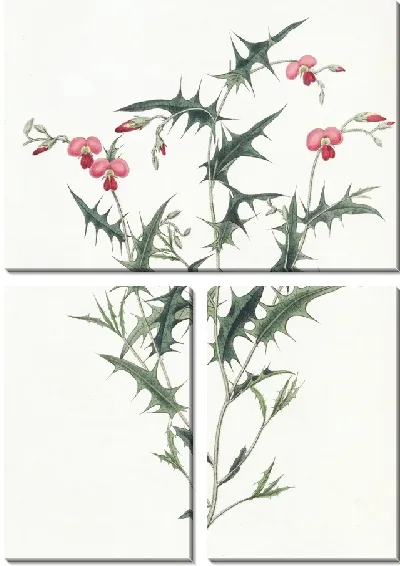 Картина Треугольная Хородема (1815-1819)