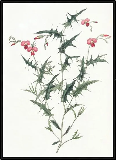 Картина Треугольная Хородема (1815-1819)