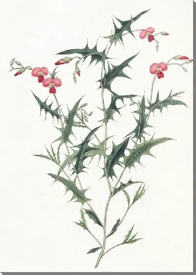 Картина Треугольная Хородема (1815-1819)