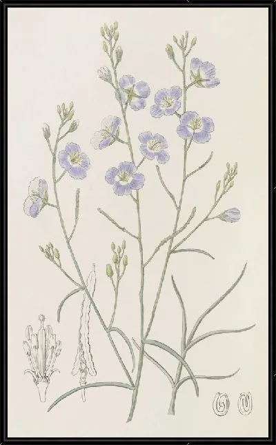 Картина Трехраздельный солнечный кресс (1815-1819)