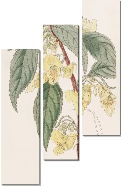 Картина Трёхрогий Бальзам (1815-1819)