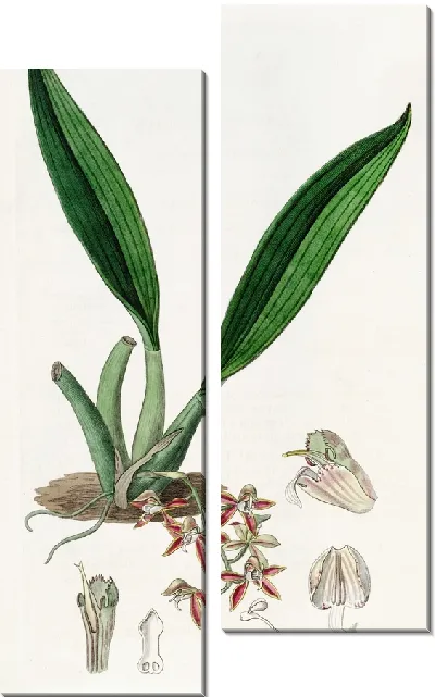 Картина Трехсторонняя длинная железка (1815-1819)