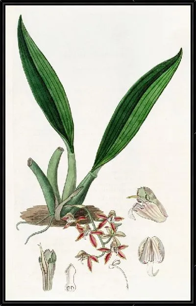 Картина Трехсторонняя длинная железка (1815-1819)