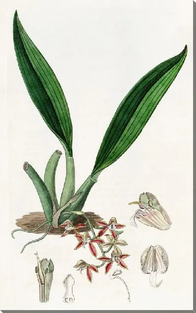 Картина Трехсторонняя длинная железка (1815-1819)