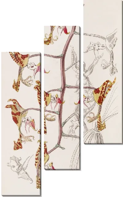 Картина Трехцветная пятнистая гонгора (1815-1819)