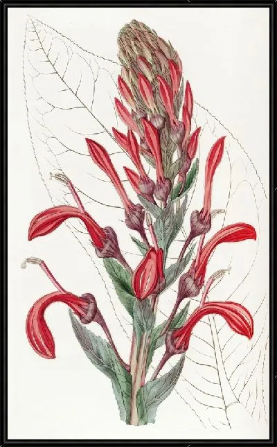 Картина Тупа-Ядовитый завод (1815-1819)