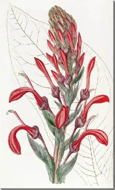 Картина Тупа-Ядовитый завод (1815-1819)