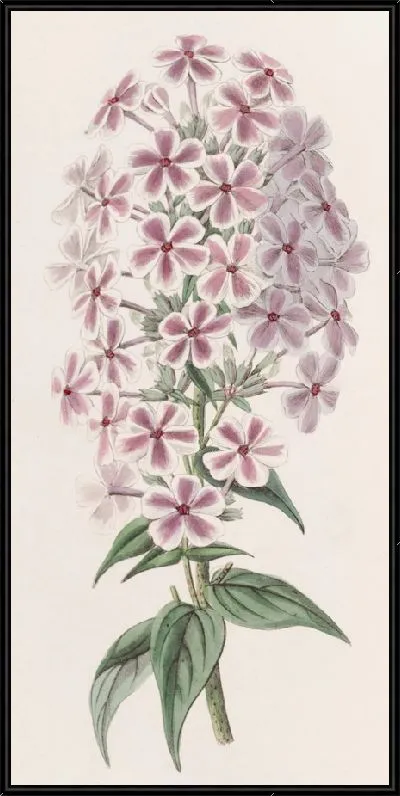 Картина Флокс Ван Хутта (1815-1819)