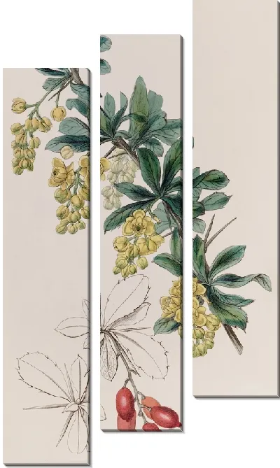 Картина Ягода кожевника (1815-1819)