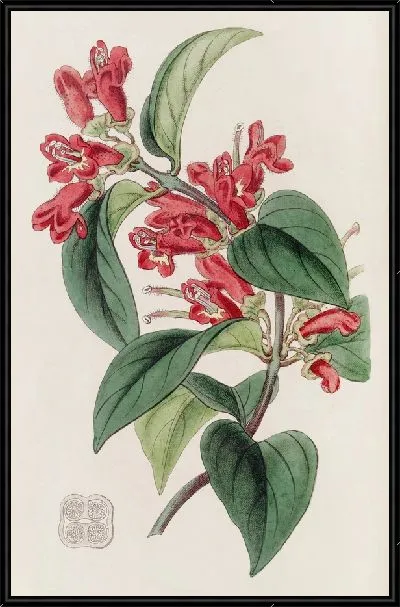 Картина Вермилион Эшинант (1815-1819)