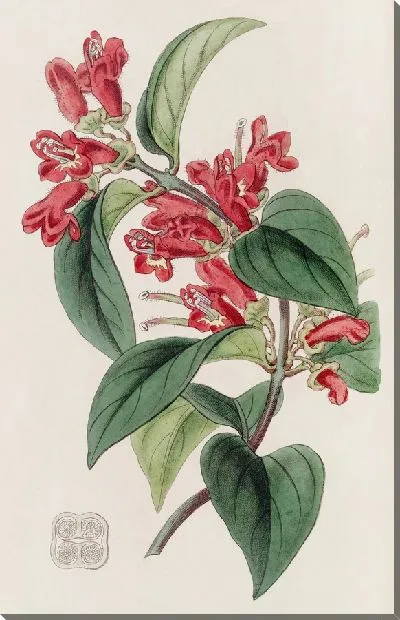 Картина Вермилион Эшинант (1815-1819)
