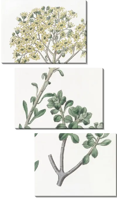 Картина Виллус Хауслик (1815-1819)