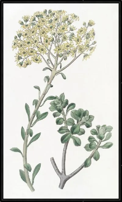 Картина Виллус Хауслик (1815-1819)