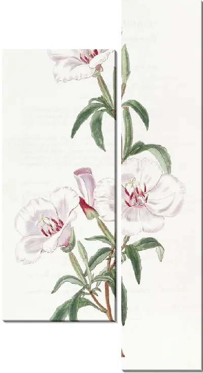 Картина Годеция винно-красная (1815-1819)