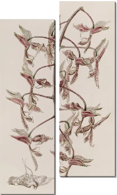 Картина Гонгора с жабьей шкурой (1815-1819)