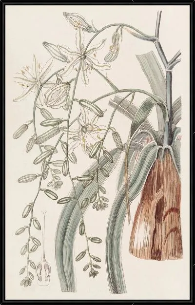 Картина Блуждающая Вифлеемская звезда (1815-1819)