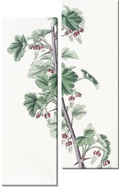 Картина Бродячий крыжовник (1815-1819)